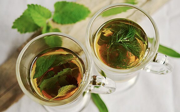 Kräuter_congerdesign-herbal-tea-1410565_1920.jpg 