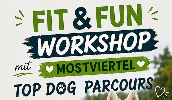 Fit___Fun_Workshop_Ausschnitt_quer_f_HP.jpg 