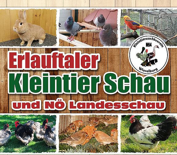 Plakat_2026_Ausschnitt_quer_f__HPjpg.jpg 